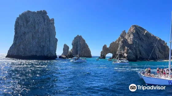 Pelican Rock
