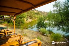 Safari West-圣罗莎