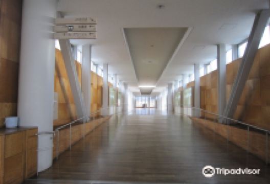 Street Gallery景点图片