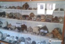 Museo Di Scienze Naturali景点图片