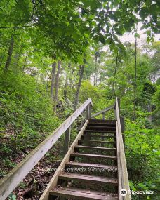 Pinery Provincial Park-大本德