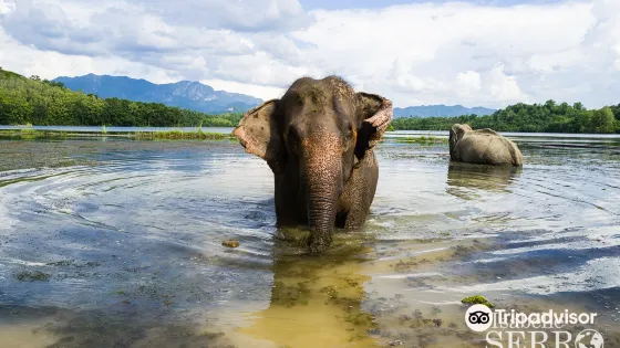 Elephant Conservation Center