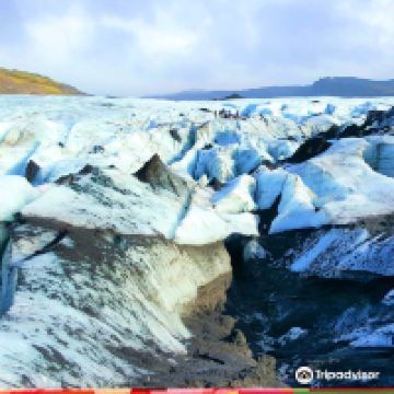 斯科加尔弗斯图片