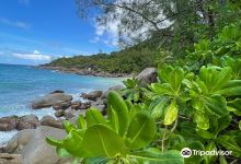 Anse Major景点图片