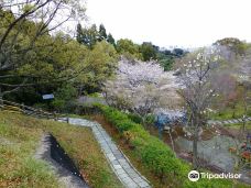 清水船越堤公園-静冈