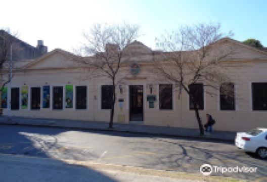 Museo Provincial de Ciencias Naturales y Antropologicas景点图片