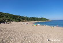 Plage de Lafitenia景点图片