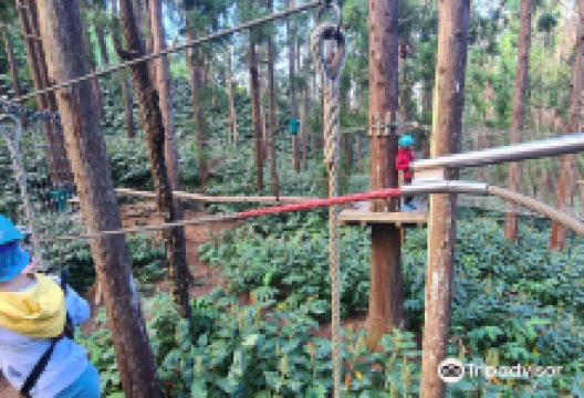 Makes Aventures景点图片