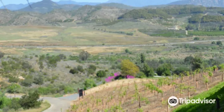 Estate d'Iacobelli Winery