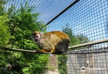 Tierpark Kruzen景点图片