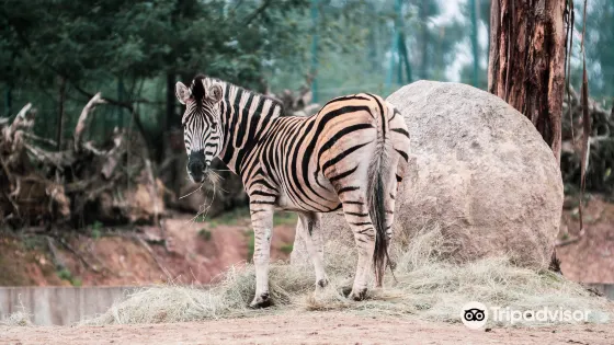 Zoo Santo Inacio