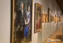 Musee d'art Thomas-Henry景点图片