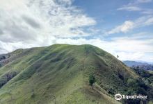 Bukit Bongol景点图片