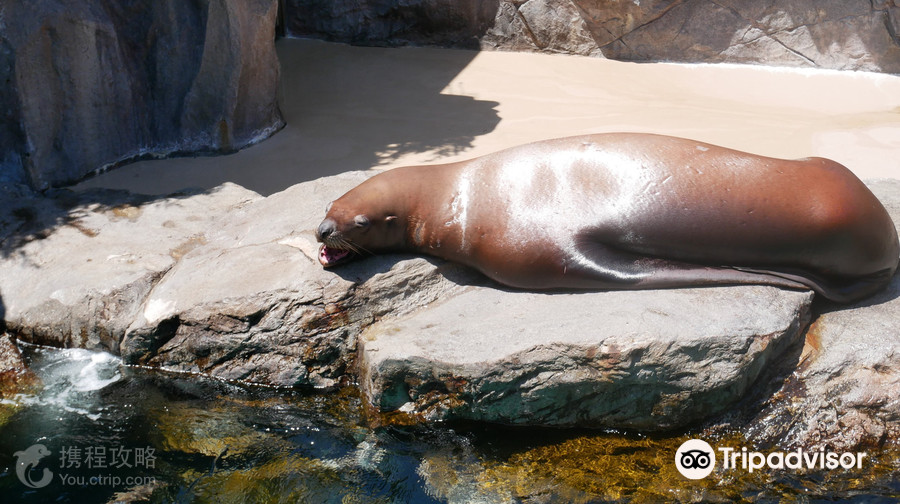 宮島水族館