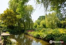 Westonbury Mill Water Gardens景点图片