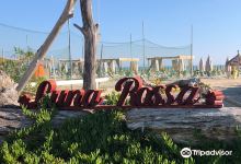 Chalet Luna Rossa  -  Welcome Dogs景点图片