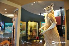 Western Australian Museum - Geraldton-杰拉尔顿