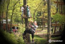 Geneva Adventure Park景点图片