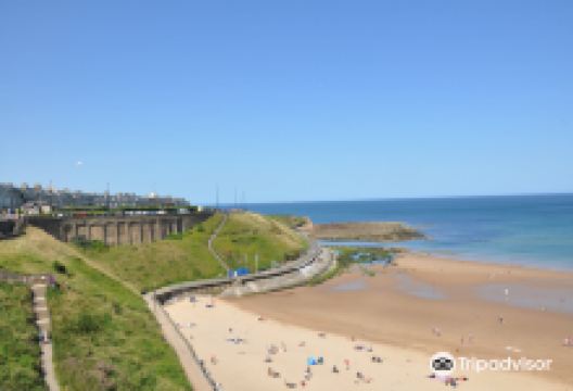 Tynemouth, King Edwards Bay景点图片