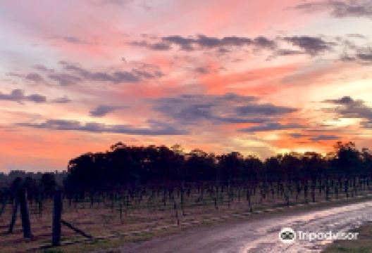 蓝莓山景点图片