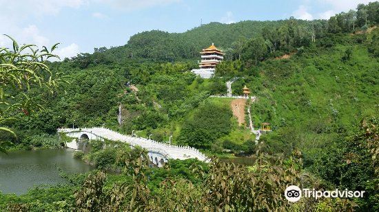 水濂山森林公园-凉亭