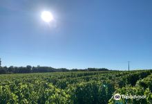 Domaine des Cormiers景点图片