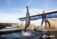 Tynemouth Aquarium景点图片