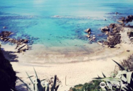 Ficocella Beach景点图片