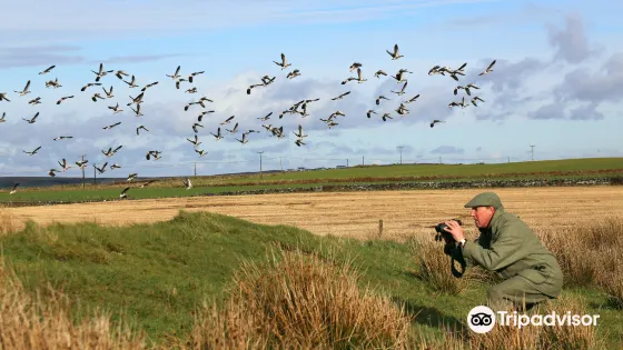 Islay Outdoors