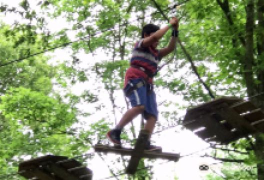 Go Ape Wyre景点图片