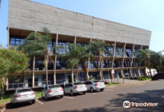 Camara Municipal de Ribeirao Preto景点图片
