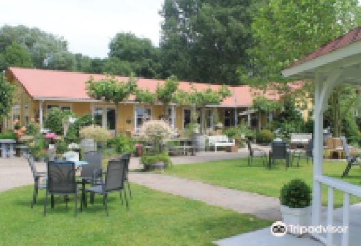 Wijngaard de Amsteltuin景点图片