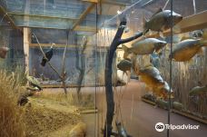 Pardubice Castle - The East Bohemia Museum in Pardubice-帕尔杜比采