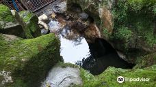 Arboretum Sumber Brantas-Bumiaji