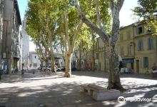 Place Des Carmes景点图片