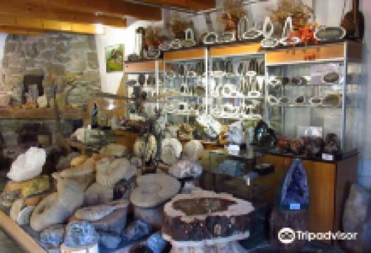 Muzeum Ziemi Geologiczne景点图片