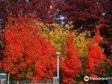 Orange Botanic Gardens-奥兰治