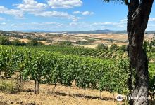 Azienda Agricola Sante Marie di Vignoni景点图片
