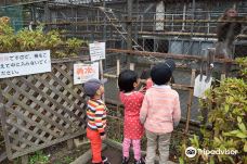 河口湖猴戏剧场-富士河口湖町