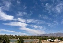 The International Birding & Research Centre景点图片