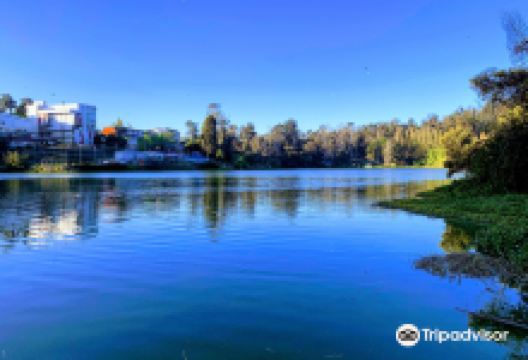 Sausalito Lagoon景点图片