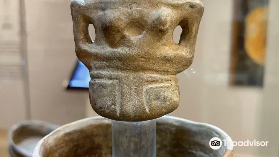 人類學和當代藝術博物館