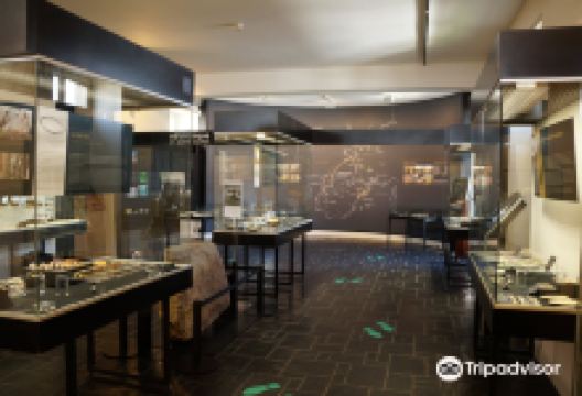 Museum de Prehistoire景点图片