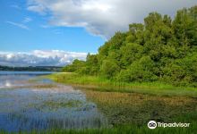 Gartmorn Dam Country Park景点图片