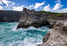 Falaise Caye Plate景点图片