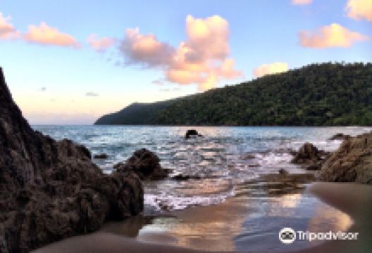 Etty Bay景点图片