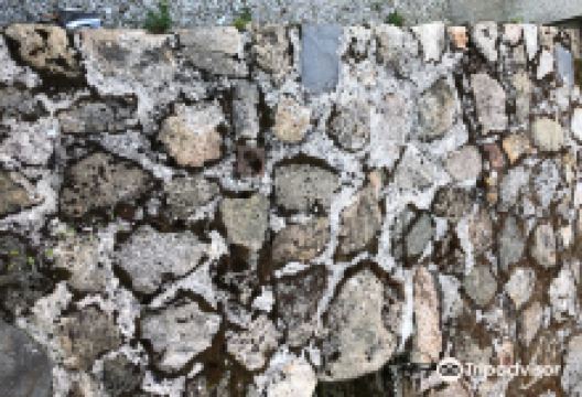 Restos Antigua Muralla景点图片