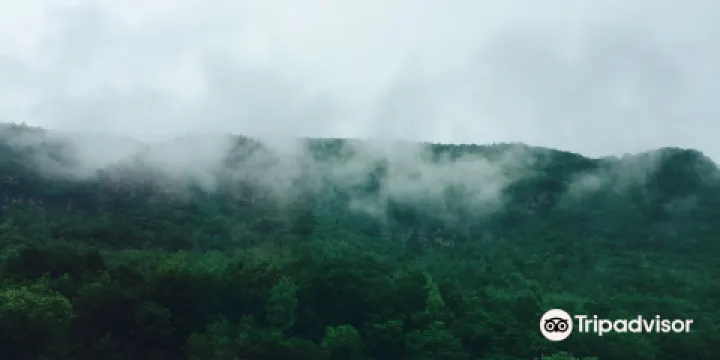 延邊白河自然保護區