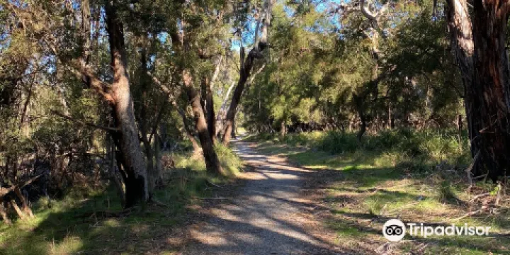 F Oswin Robert Koala Reserve