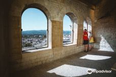 Château de Montélimar-蒙特利马尔